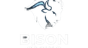 Bison Casino